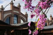 Matadero Madrid
